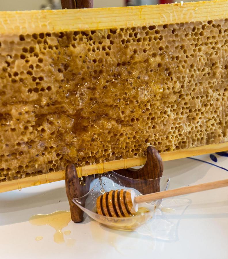Honey Spa Ripacandida ภายนอก รูปภาพ